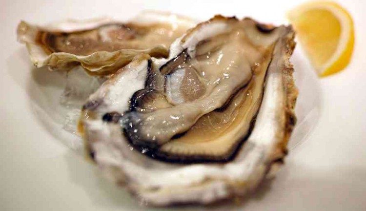 Seafood Unik Dari Wakatobi